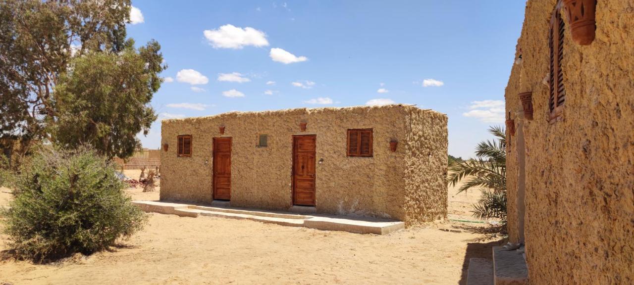 Cafour House Siwa - Hot Spring Hotel Siwa Oasis ภายนอก รูปภาพ