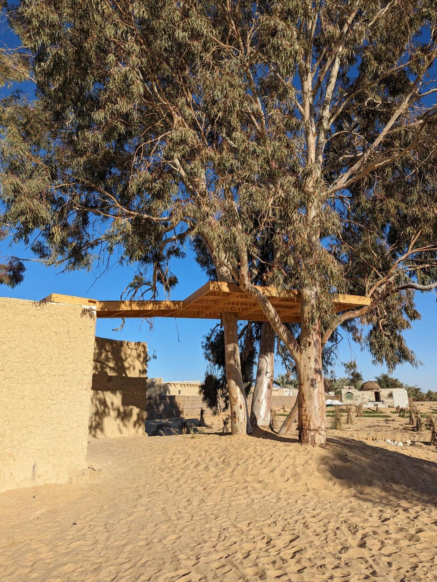 Cafour House Siwa - Hot Spring Hotel Siwa Oasis ภายนอก รูปภาพ