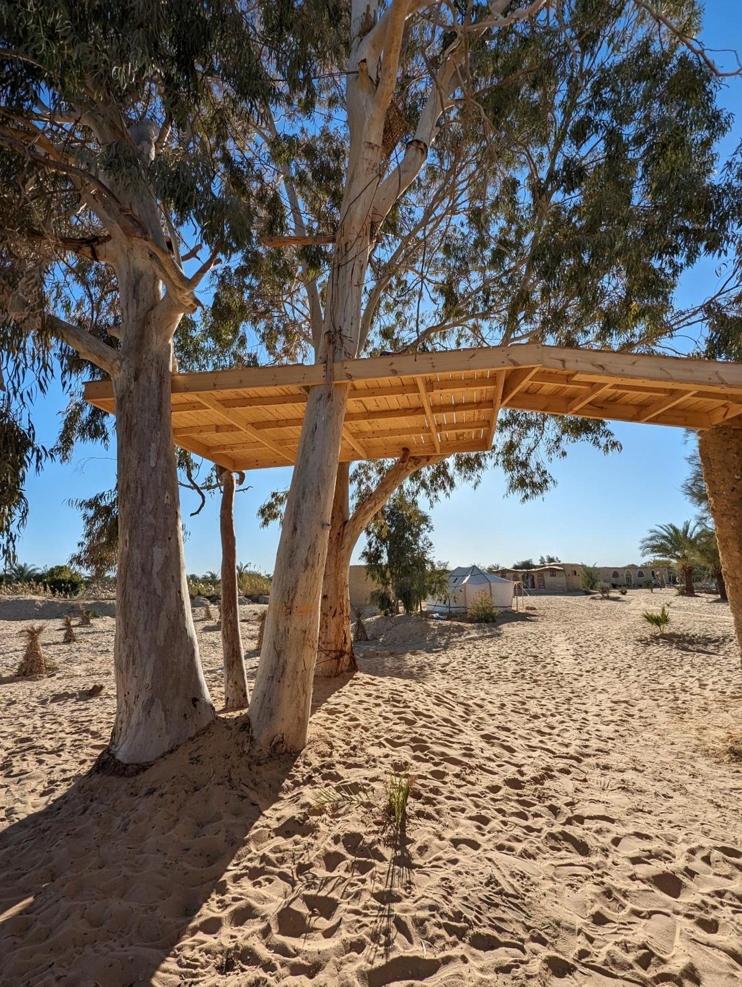 Cafour House Siwa - Hot Spring Hotel Siwa Oasis ภายนอก รูปภาพ