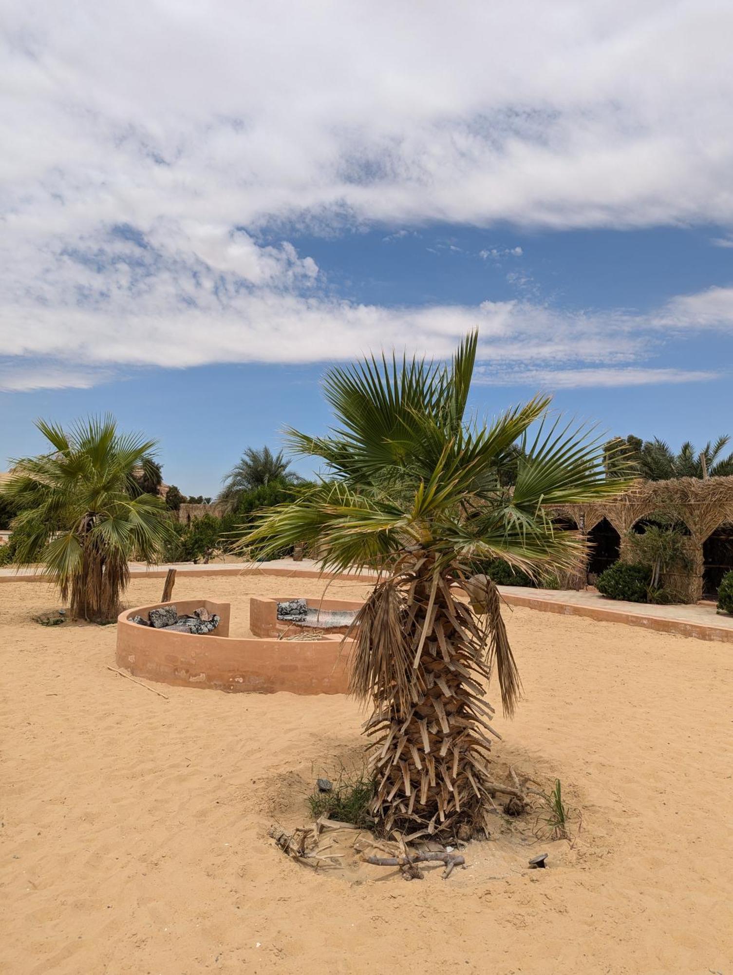 Cafour House Siwa - Hot Spring Hotel Siwa Oasis ภายนอก รูปภาพ