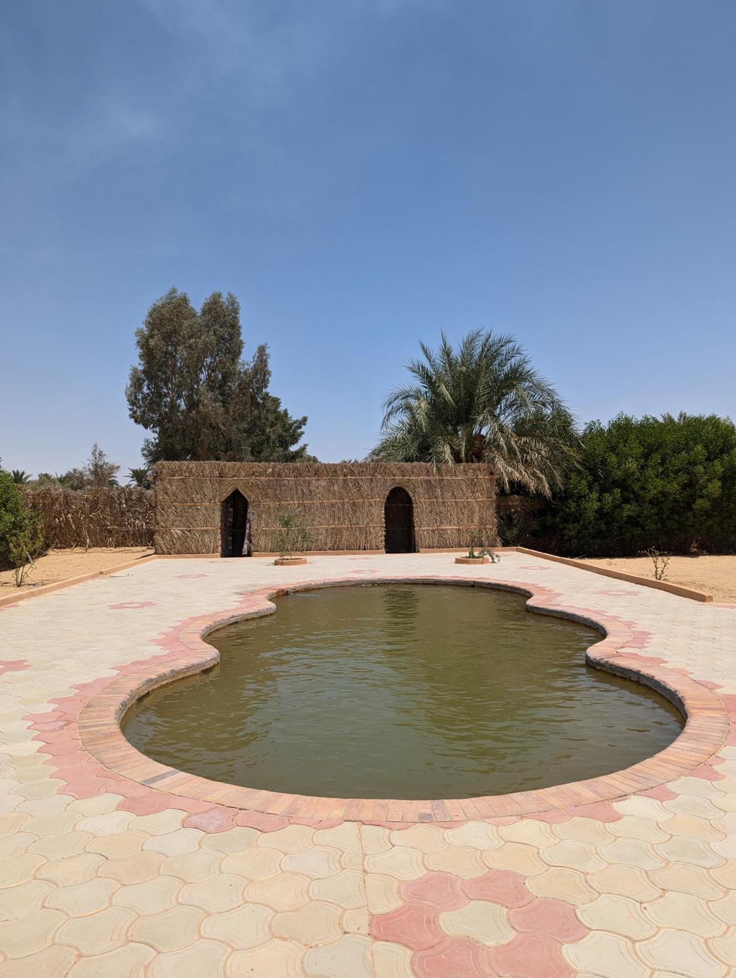 Cafour House Siwa - Hot Spring Hotel Siwa Oasis ภายนอก รูปภาพ